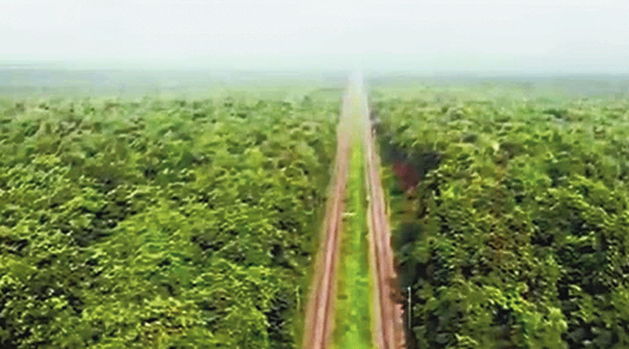 The railway line passing through the sanctuary.