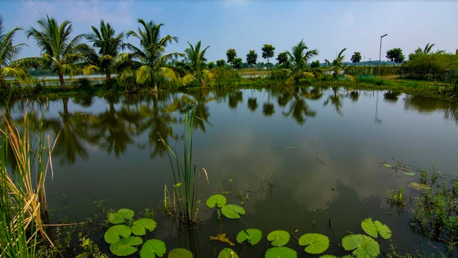 The acute unit of A VIEW is built on three acres of land with ponds and paddy fields