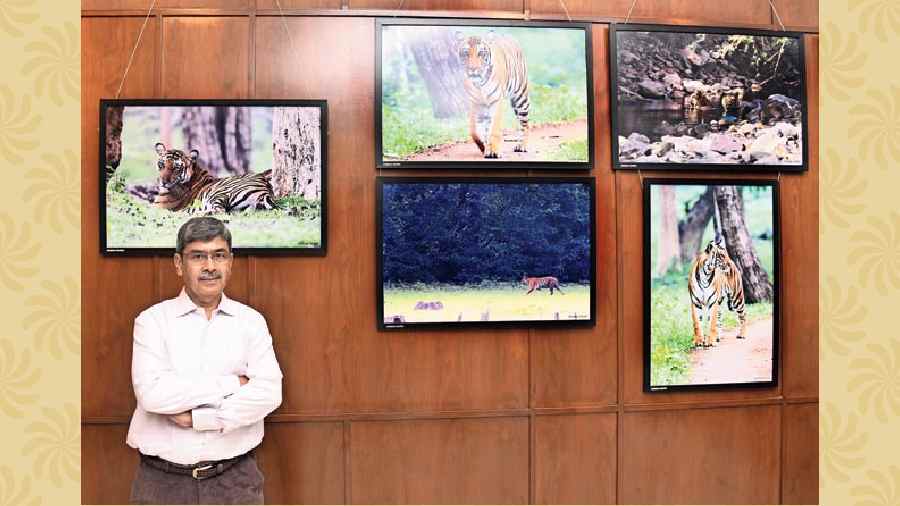 “It was a conscious collaboration with ITC Sonar to have the exhibition on World Tiger Day. We have dedicated an entire section to tigers. I have always loved to capture pictures of birds, but tigers have also been extremely dear to me. Really hope the awareness spreads and people like the exhibition,” said Dhiman Ghosh.