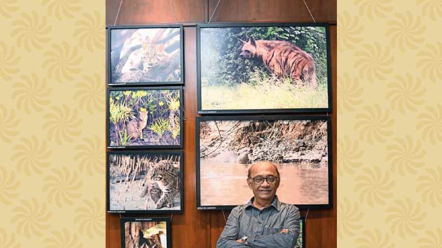 “This exhibition was brought about to celebrate World Tiger Day. An effort towards spreading awareness and curiosity about tigers. There are also frames of other animals who share the same habitat. The exhibiton is about care, understanding and education about ecological diversity,” said Biswajit Roy Chowdhury.