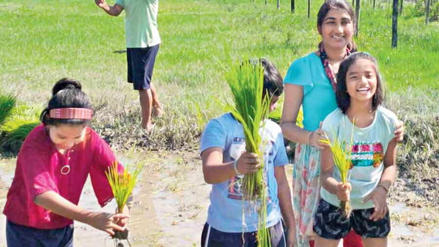 Students of the Epic Public School in Cooch Behar town are all smiles in the paddy field  on Sunday morning. 