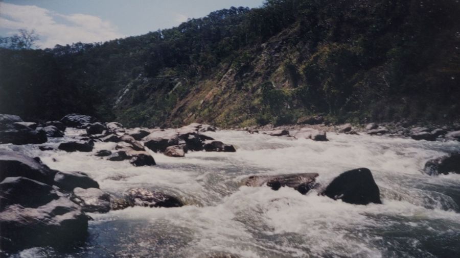 The story of Glenburn is incomplete without mentioning the snow-fed Himalayan rivers Rangeet and its tributary Rundung Khola. The waters flow through the 1,000 acres of private forest that are part of the tea estate, and the confluence is believed to be a spawning ground of the prized Golden Mahseer