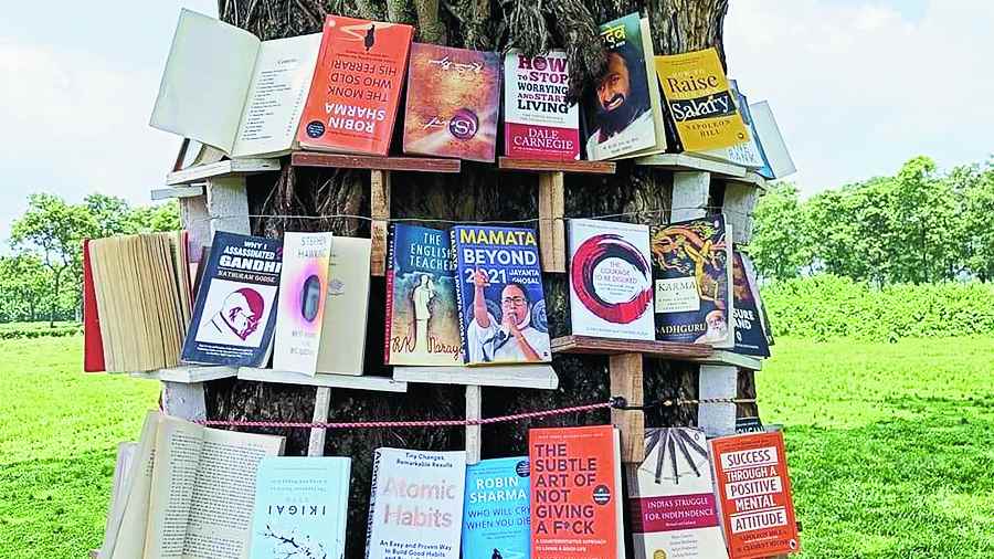 Books stacked up on the trunk of the tree on the European Club ground