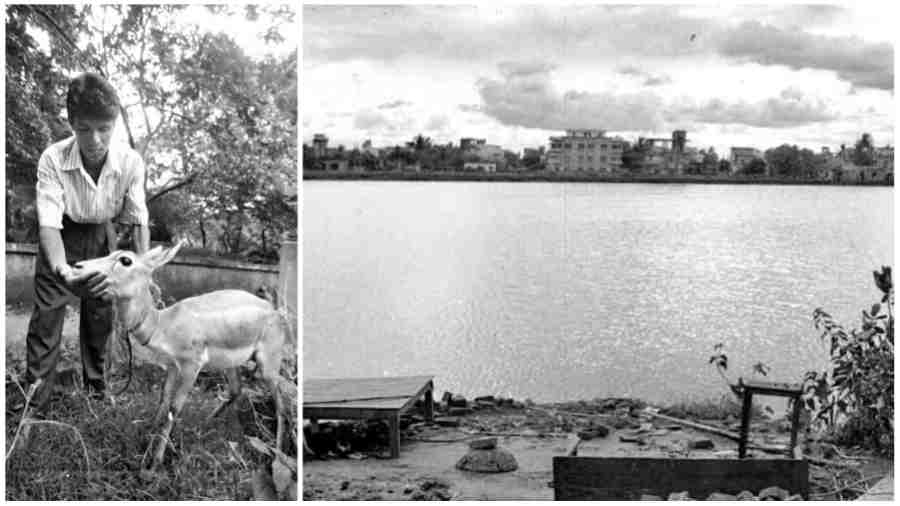 A 1998 picture of the deer park along Kestopur Canal, that residents would frequent. (Right) A glimpse of the waterbodies behind Sector V, clicked in 1991, where residents would go to watch birds