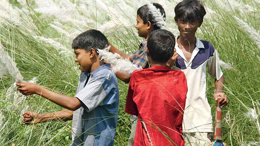 A 2004 picture of kids playing with kash phool  in the township 