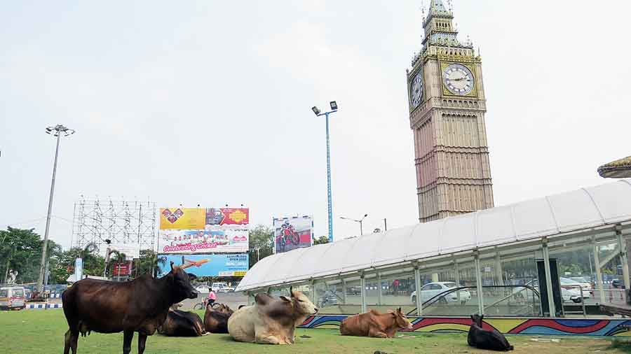 What is the cow grazing under the Lake Town clock tower telling the others?