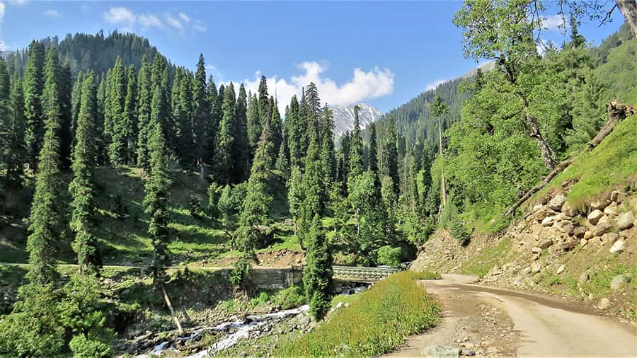 The road to Bangus Valley