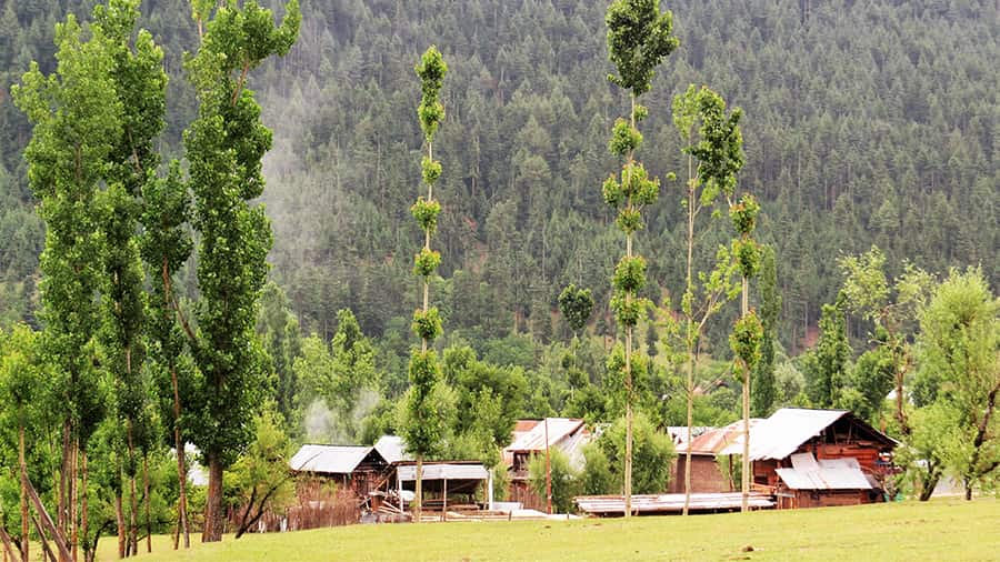 Chandigam village in Lolab