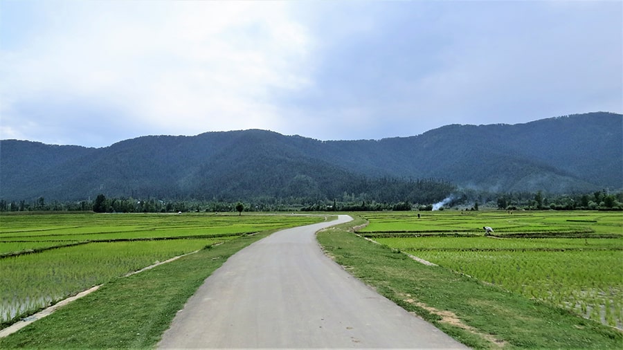 Lolab Valley is marked by its paddy fields