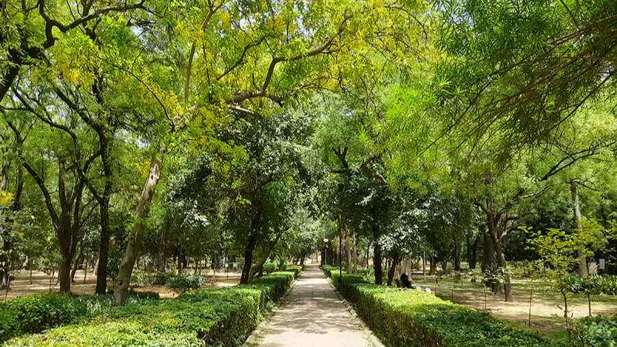 The deer park area of Hauz Khas — which was named after a royal lake — is a pleasing green stretch in the midst of the trendy south Delhi neighbourhood with shopping malls and multistoried complexes. It houses a deer enclosure and three medieval tombs 