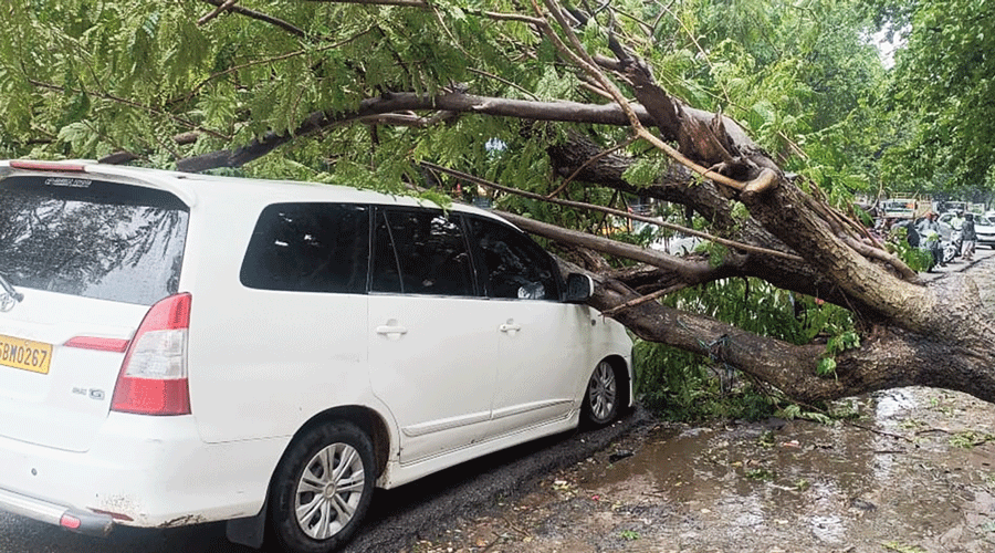 A car trapped under the branches of an uprooted tree  in Jamshedpur on Saturday.