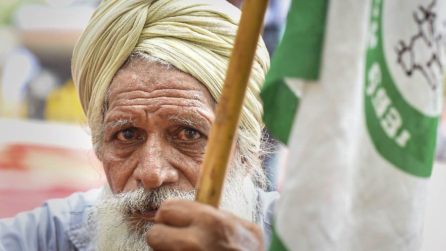 Age no bar: An elderly farmer at the protest
