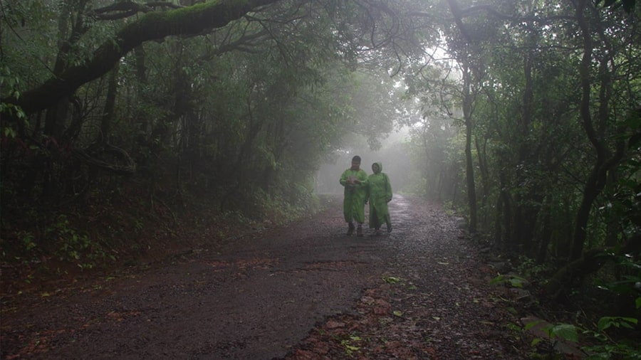 Tourists enjoy a monsoon drizzle in a mist-shrouded Amboli
