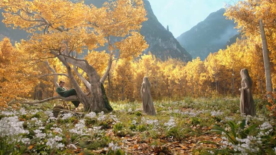 Losing Faith: The Suffering of Trees in 's The Rings of Power