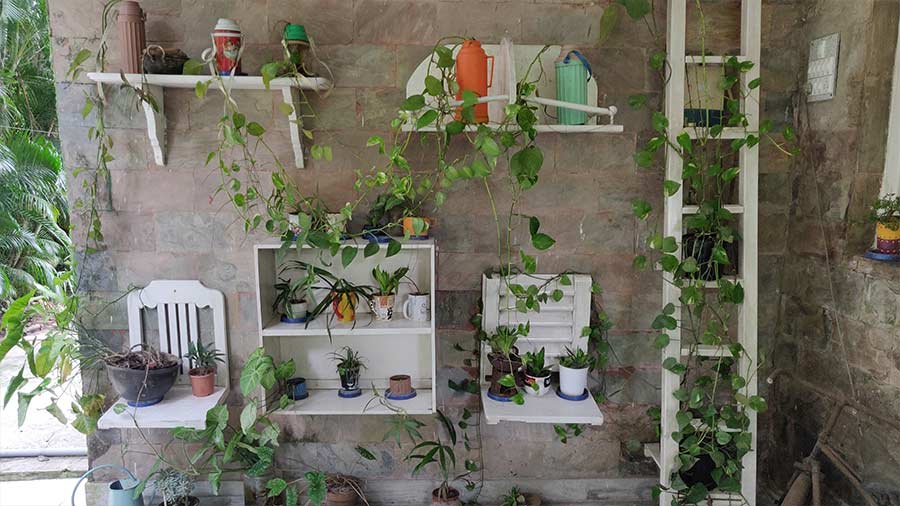 Throughout the house, there are nooks showing off Rini’s DIY upcycling projects like this wall with planters. Ready for a selfie?