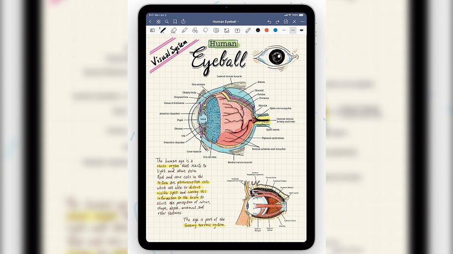 A page from GoodNotes