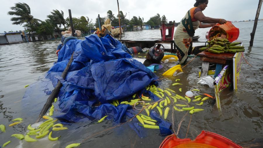 Death | Mandous Cyclone: Many Killed In Rain-related Incidents, Says ...