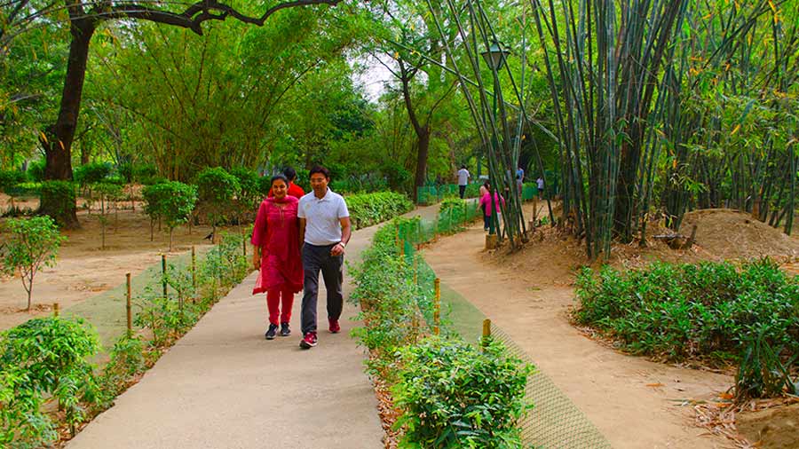 People enjoying a morning walk at Lodi Gardens