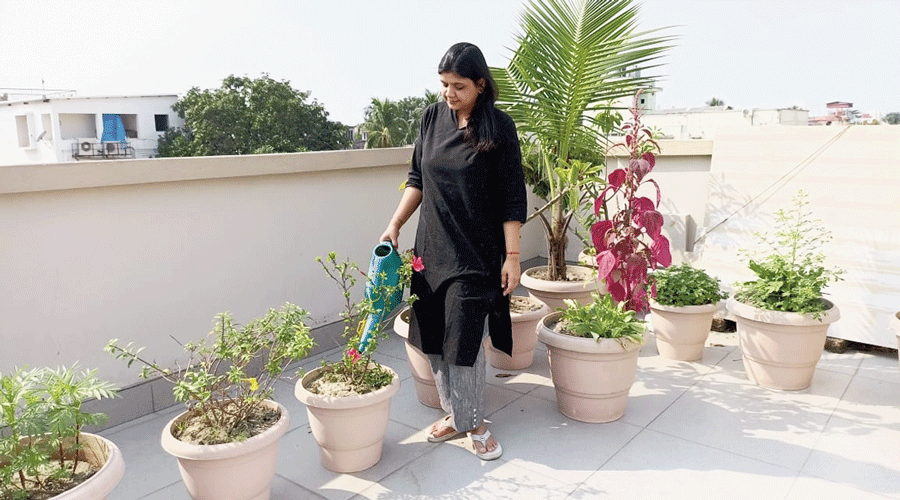 Swati Chamaria waters plants in her balcony.