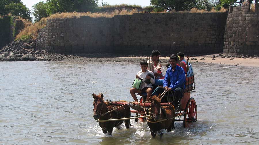 One can approach Kulaba fort on horse carriages during low tide
