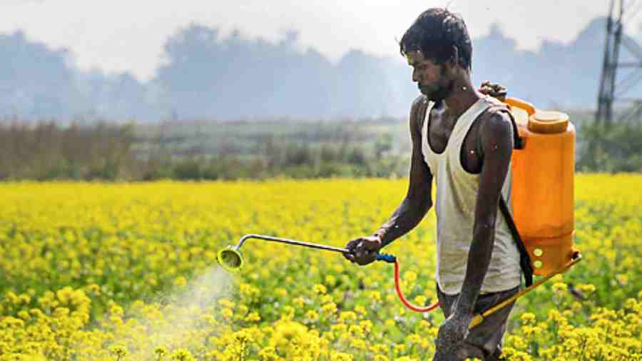 Bhupender Yadav - India Opposes Subsidy And Pesticide Cuts - Telegraph ...