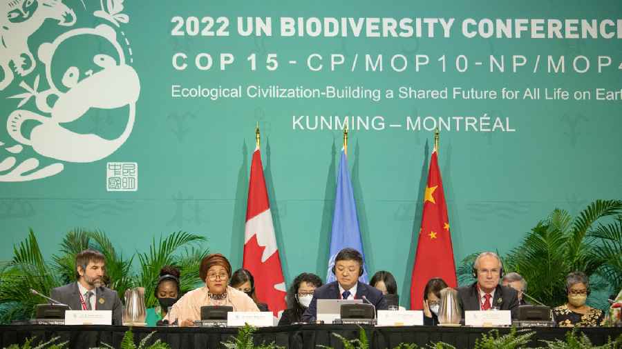 COP15 Summit | Historic Biodiversity Deal Approved At COP15 Summit In ...