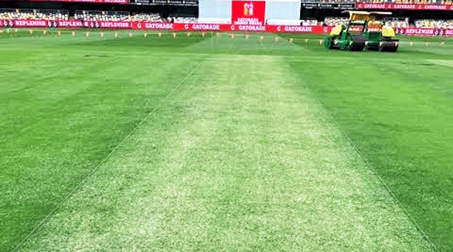 The Gabba pitch in Brisbane for the first Australia- South Africa Test.
