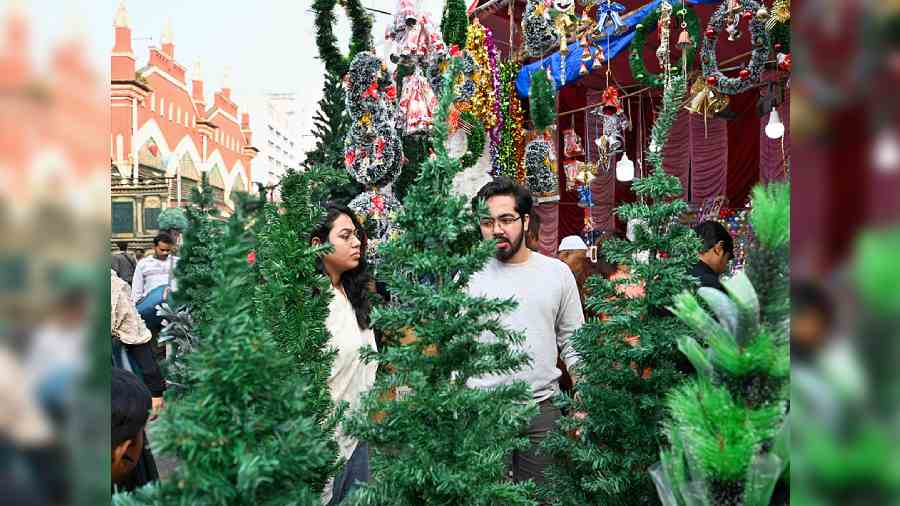 Shoppers look at Christmas trees in New Market on Thursday