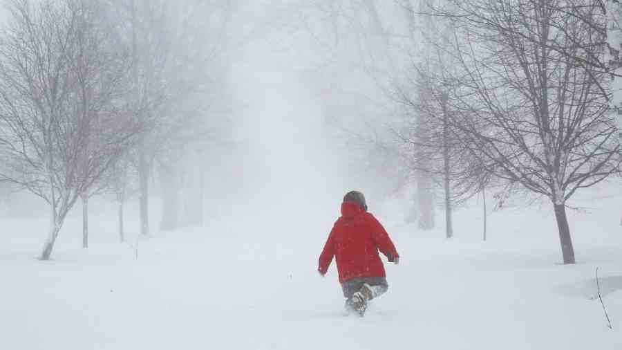 Winter Storm: Western New York Buried Under Worst Storm in Decades