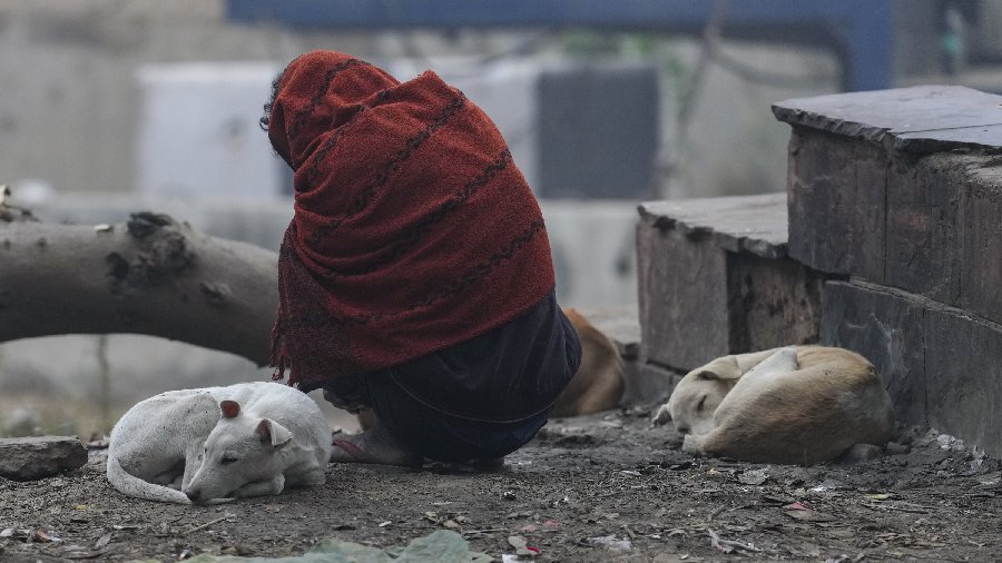 Churu in western Rajasthan reported the lowest temperature — 0°C yesterday in the northern Indian plains. A homeless wrapped in woolens on a cold winter morning. 