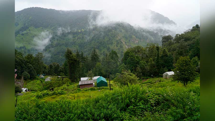 Lush green valley of Chopta during monsoon