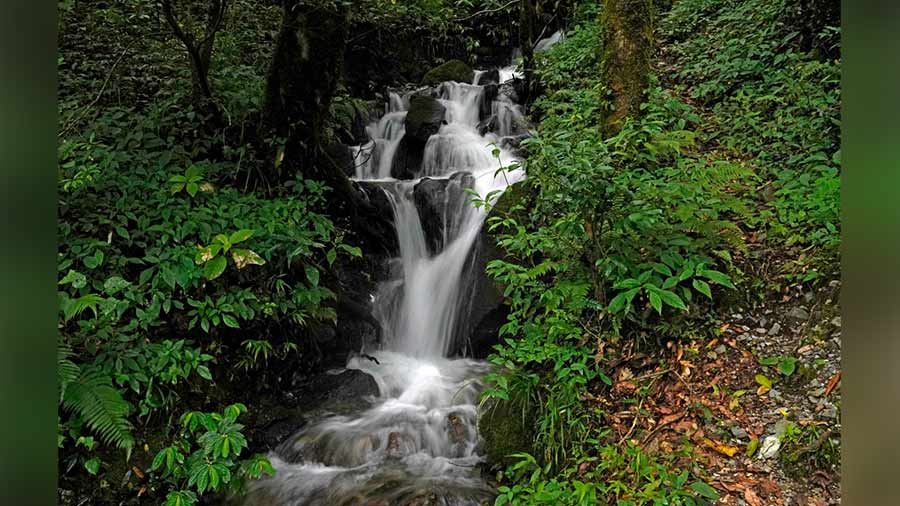 During monsoon, there are waterfalls in almost every nook and corner of Chopta