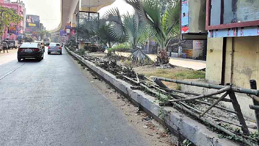 A battered bamboo fence along the median divider on DH Road in Sakherbazar