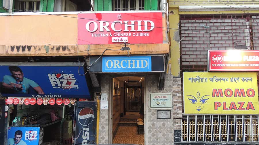 The entrance to Orchid and Momo Plaza in the same frame. Both restaurants share the spotlight and a similar growth story