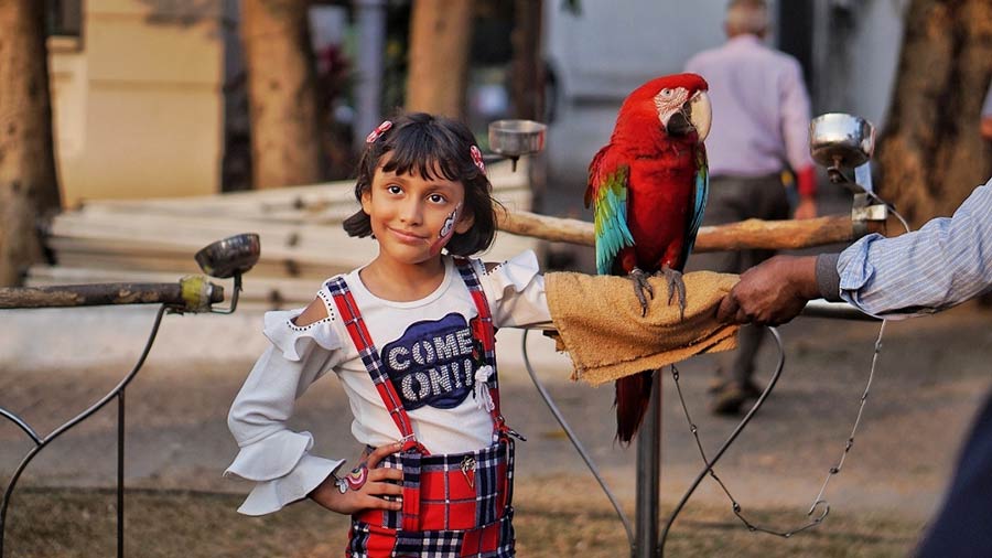 Children getting clicked with the colourful macaw