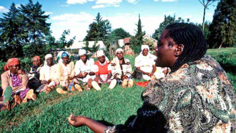 In ‘Unbowed, She Stayed’, Bhaskar Parichha writes about the renowned Wangari Muta Maathai who won the Nobel Prize for Peace in 2004, and who founded the Green Belt Movement on love that rippled out to nurturing the planet we live in and the environment 
