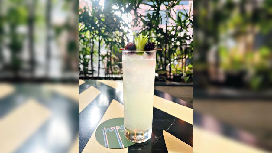 Elderflower Gin Fizz: Gin, lime juice, elderflower syrup and tonic water create this refreshing sip that’s great for all weather.