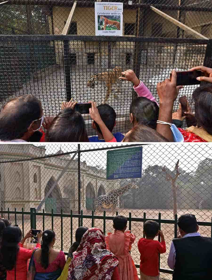 People enjoy the last day of the year at Alipore Zoo