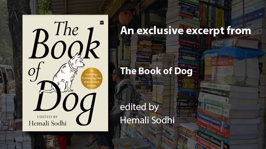 An exclusive excerpt from ‘The Book of Dog’