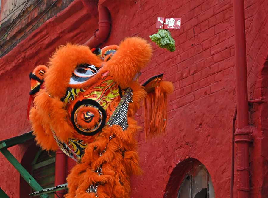 The Dance of the Lions chases away all the ‘bad juju’. As a reward, the lion is fed lettuce and given a token red envelope, both dangled before his fierce eyes as he leaps for them