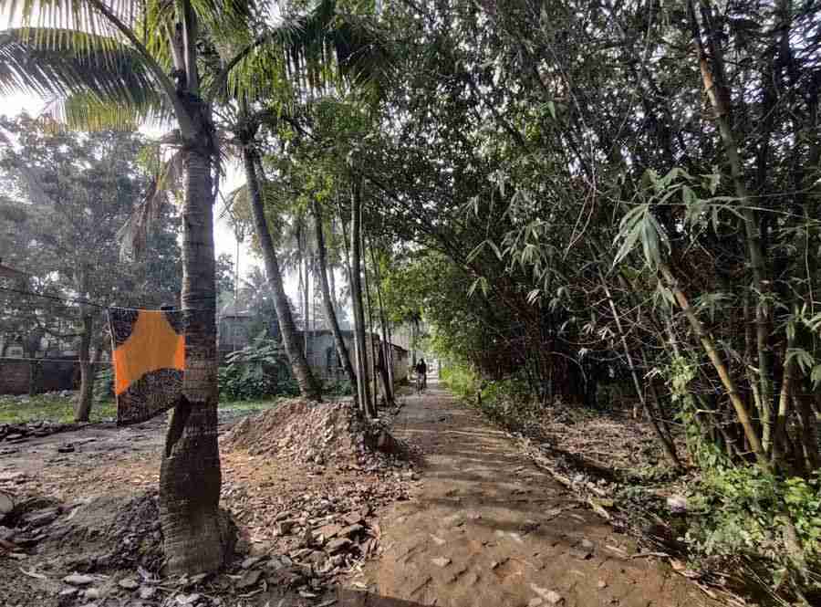 A tiny lane behind the bustling Rajarhat Chowmatha lets one experience the intimacy of rural life tucked within the metropolis, where narrow brick-laid paths are lined by bamboo and palms and one can hear muffled notes of Bengali music.