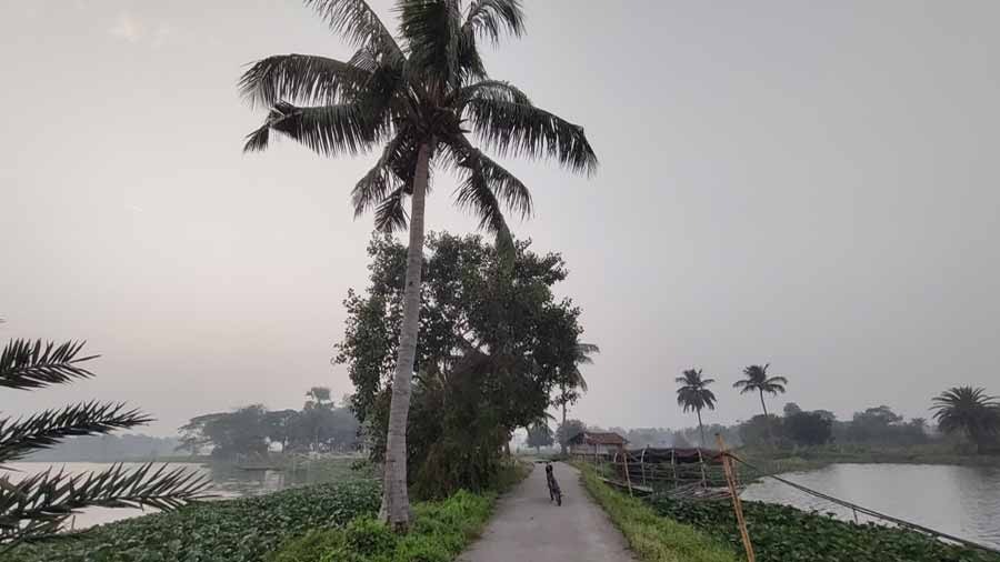 In little pockets of greenery, like this stretch of the Rajarhat Wetlands, a little ahead of Sector V, the air feels purer than the city