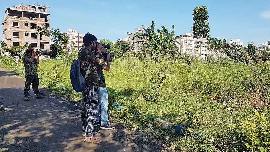 Birders try to get shots of red munias near New Town’s Eco Urban Village. 