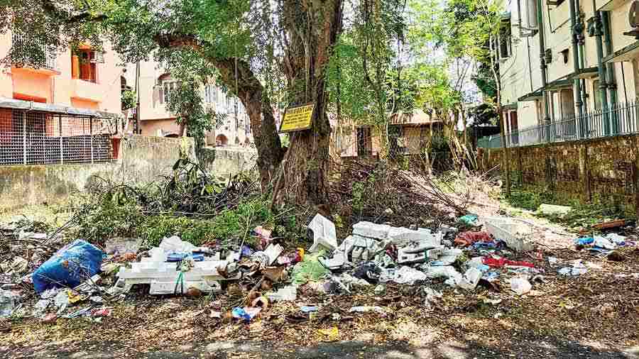 Residents of Ward 29 want empty plots cleaned out