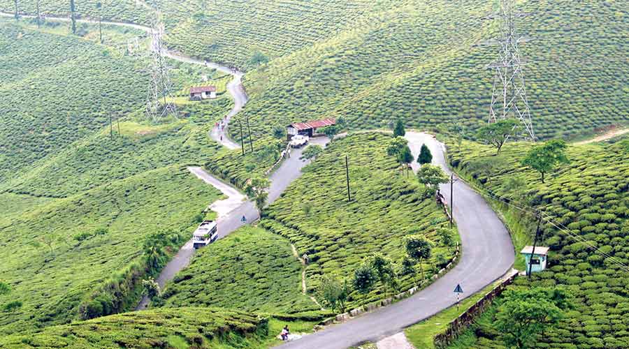 Tea export dips in 2021 also : Planters apprehend it will decrease further Tea export dips in 2021 also : Planters apprehend it will decrease further
