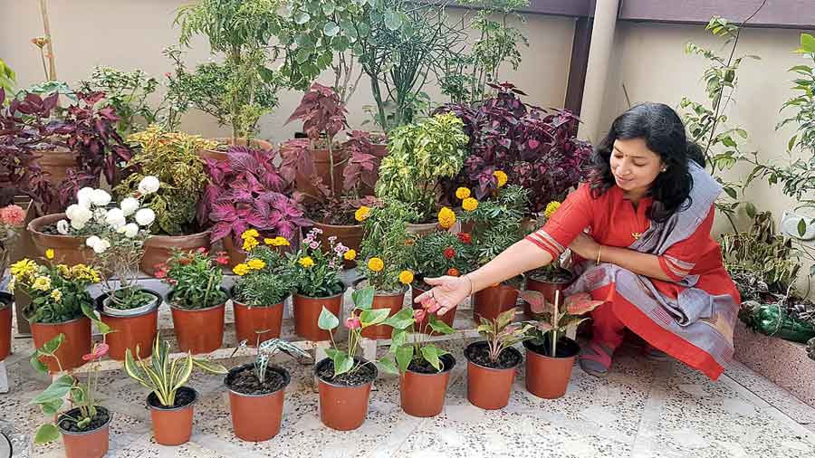 Kavita Bhanuka admires the Anthuriums in her driveway.