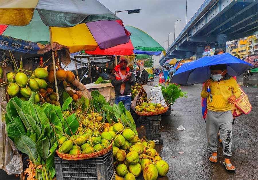 A child walks past a tender coconut stall near Baguiati. Tender coconuts are essential for the rituals in Saraswati puja, which is on Saturday 