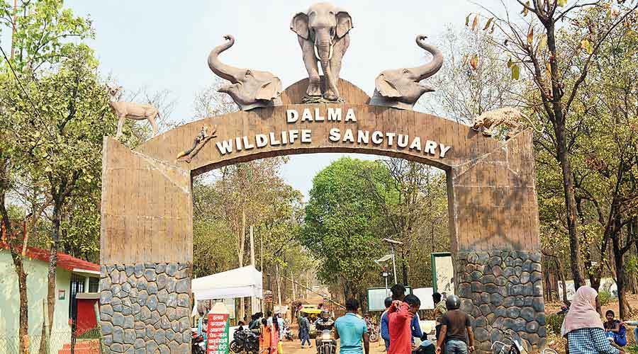 Visitors at the Dalma Wildlife Sanctuary near Jamshedpur last year.