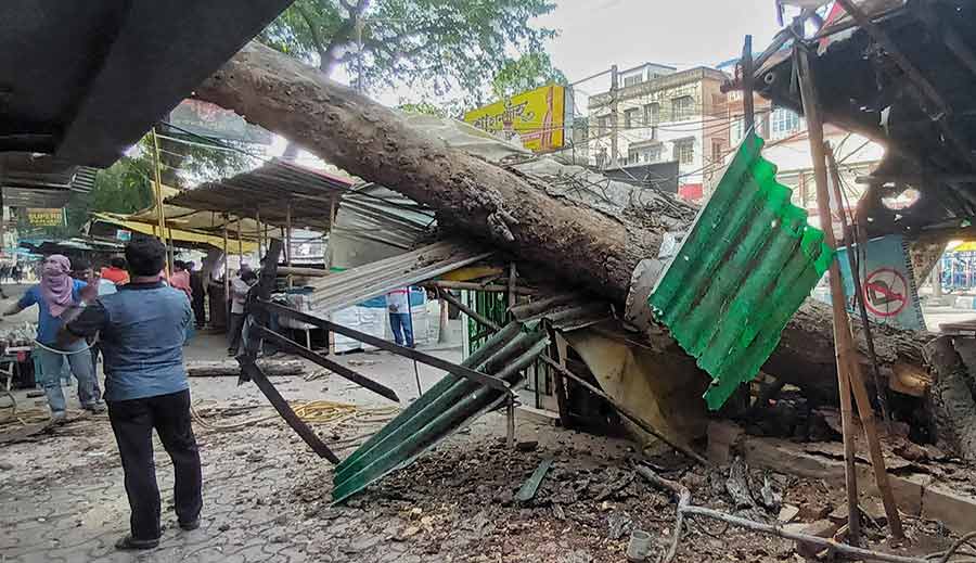 A huge tree at Gariahat in south Kolkata suddenly fell on its side on Sunday and crashed on the wall of a nearby house 