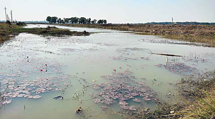 The local water body where Tagore wrote Chitrangada.